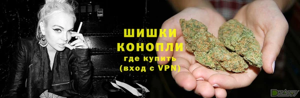 гидра Сафоново